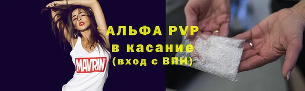 ПСИЛОЦИБИНОВЫЕ ГРИБЫ Верея